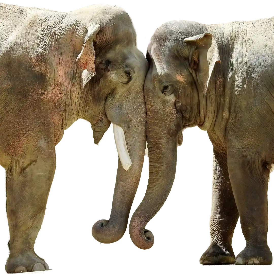 kommunikation-a-bot Kopie kommunikation